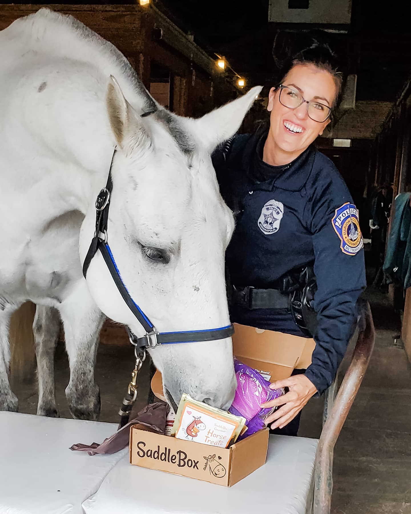 Finnegan-Police-Horse